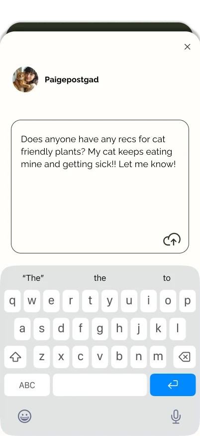 Ask